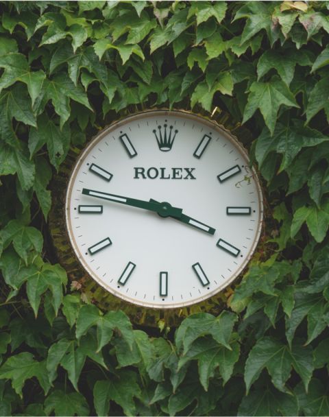 rolex WIM21jb 01738 landscape