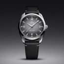 Omega Seamaster Railmaster - Bild 4