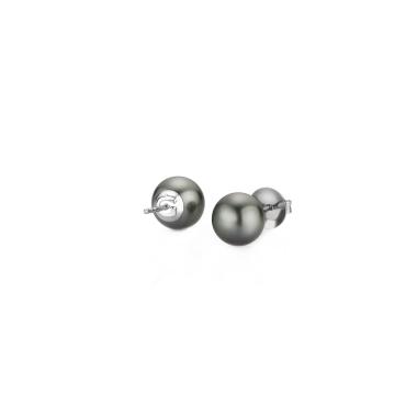 Ohrringe, Weißgold, Gellner Basics Ohrstecker