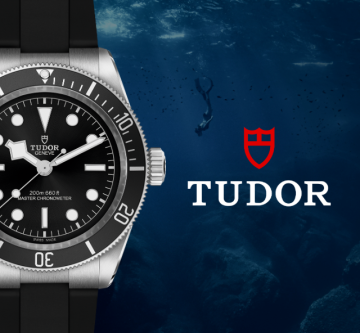 Tudor Banner (2)
