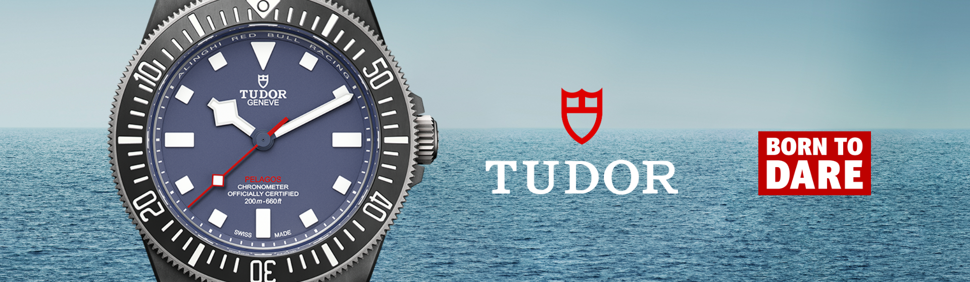Tudor-banner Pelgaos fxd 1920x560