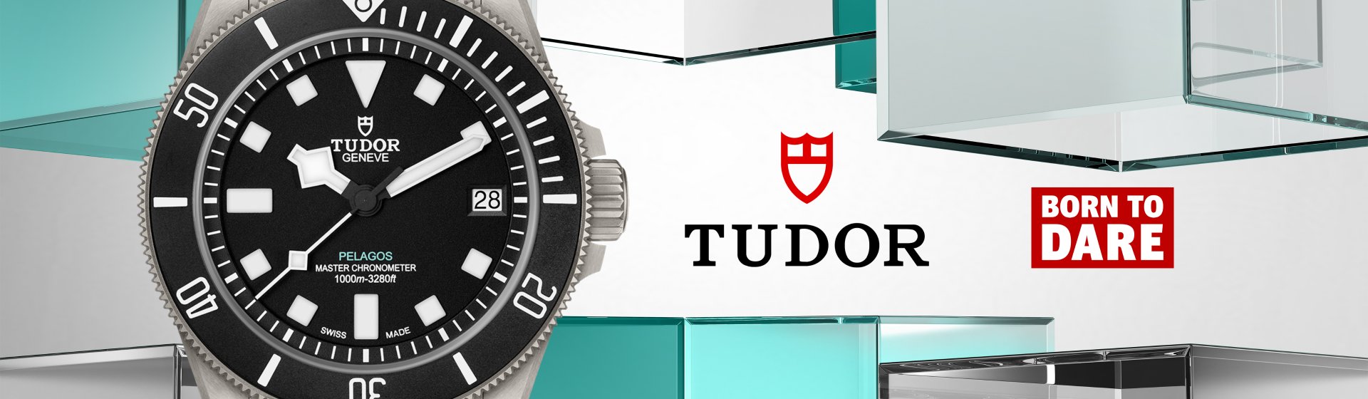Tudor-banner
