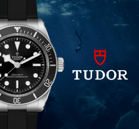 Tudor-banner (3)