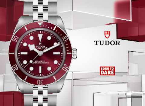 Tudor-banner BB  bordeaux 480x350