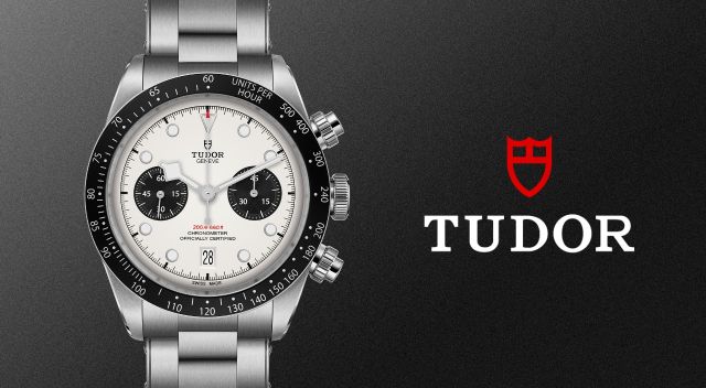 Tudor-banner - 2023-01-27T103100.926 (1)