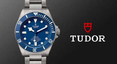 Tudor-banner - 2023-01-27T103231.274 (1)