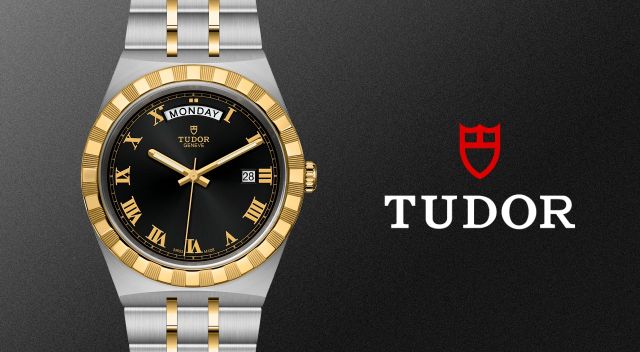 Tudor-banner - 2023-01-27T103327.515 (1)